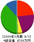 堀川産業 貸借対照表 2009年3月期