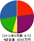 宮崎電機水道 貸借対照表 2012年9月期