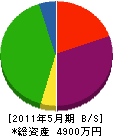 染谷組 貸借対照表 2011年5月期