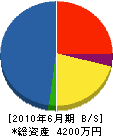 松本ガーデン 貸借対照表 2010年6月期
