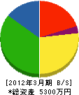 中田組 貸借対照表 2012年3月期