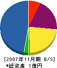 関口電気 貸借対照表 2007年11月期