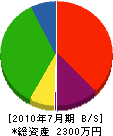 小松電気 貸借対照表 2010年7月期