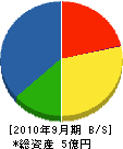 金澤電気工業所 貸借対照表 2010年9月期