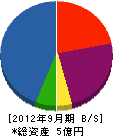 平井電業社 貸借対照表 2012年9月期