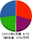 冨士電気商会 貸借対照表 2012年6月期