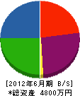 美祢建材店 貸借対照表 2012年6月期