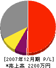 樋笠土木 損益計算書 2007年12月期