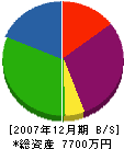 畠山建業 貸借対照表 2007年12月期