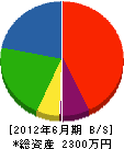 後藤商会 貸借対照表 2012年6月期