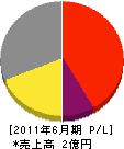 石田 損益計算書 2011年6月期