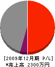 田原組 損益計算書 2009年12月期