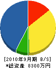 塩田住宅建設 貸借対照表 2010年9月期