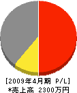 飯田塗装 損益計算書 2009年4月期