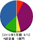 藤木電気工業 貸借対照表 2012年5月期