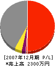 上田建築 損益計算書 2007年12月期