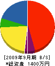 長井建設 貸借対照表 2009年9月期