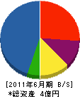 姫科エンジニアリング 貸借対照表 2011年6月期