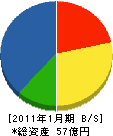 山崎金属 貸借対照表 2011年1月期