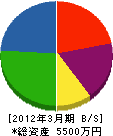 佐藤塗装工芸 貸借対照表 2012年3月期