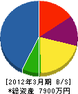 石川電気 貸借対照表 2012年3月期