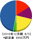 佐藤組 貸借対照表 2010年12月期