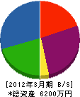 小野沢塗装工業所 貸借対照表 2012年3月期