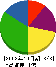 宮本地研 貸借対照表 2008年10月期