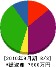 山田塗装 貸借対照表 2010年9月期