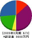 渡辺電設 貸借対照表 2009年8月期