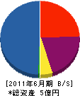 矢野工業 貸借対照表 2011年6月期