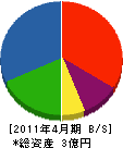 丸川建設 貸借対照表 2011年4月期
