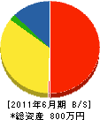 栃木緑創 貸借対照表 2011年6月期