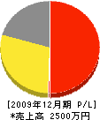 野田石材店 損益計算書 2009年12月期