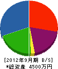 田中機械店 貸借対照表 2012年9月期