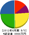 武藤建設 貸借対照表 2012年4月期