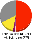 広田電気工業所 損益計算書 2012年12月期
