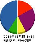 日本電気設備 貸借対照表 2011年12月期