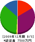 友田商店 貸借対照表 2009年12月期
