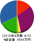 森田造園土木 貸借対照表 2010年4月期
