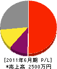弘成工業 損益計算書 2011年6月期