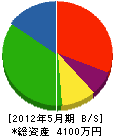 渡辺板金工業 貸借対照表 2012年5月期