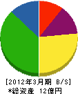 仙台ガスエンジニアリング 貸借対照表 2012年3月期