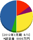 岩田板金工業 貸借対照表 2012年3月期
