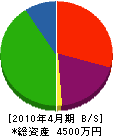 松本電建 貸借対照表 2010年4月期