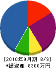 九州プレハブ工業 貸借対照表 2010年9月期