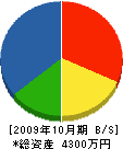 浅野工務店 貸借対照表 2009年10月期