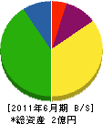 田村工業 貸借対照表 2011年6月期