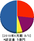 矢野工業 貸借対照表 2010年6月期