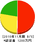山永電設工業 貸借対照表 2010年11月期